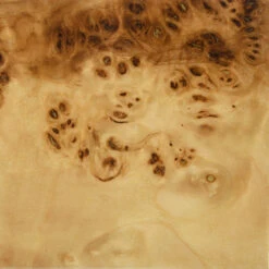 Worlds Away Biggs Burl Wood Stool With A White Linen Cushion -Worlds Away WA BURL WOOD 61138.1603212536 ni 29535.1707478833