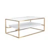 Worlds Away Glass Top Antique Brass Coffee Table - Floating Shelf - White Washed Oak
