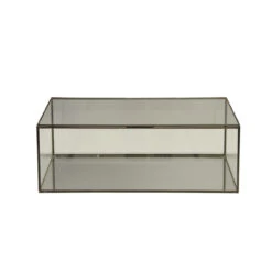 Worlds Away Rectangular Clear Glass Box