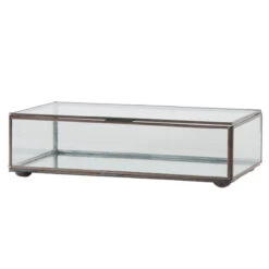 Worlds Away Medium Rectangular Box With Clear Glass